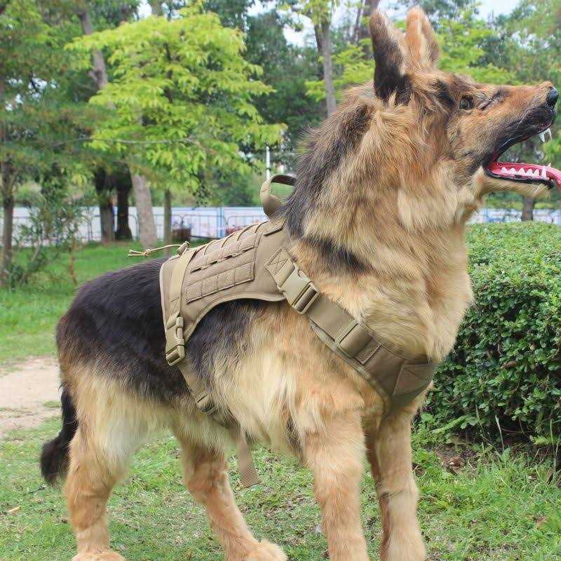 2X Metal Buckle Dog Harness with Handle F109434