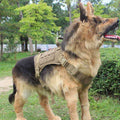 2X Metal Buckle Dog Harness with Handle F109434