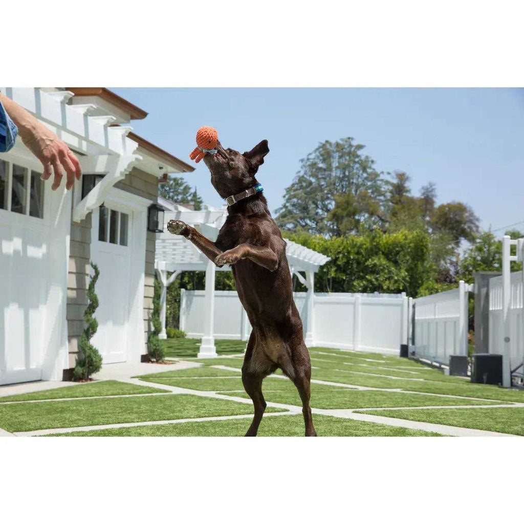 Rope Dog Toy S169107
