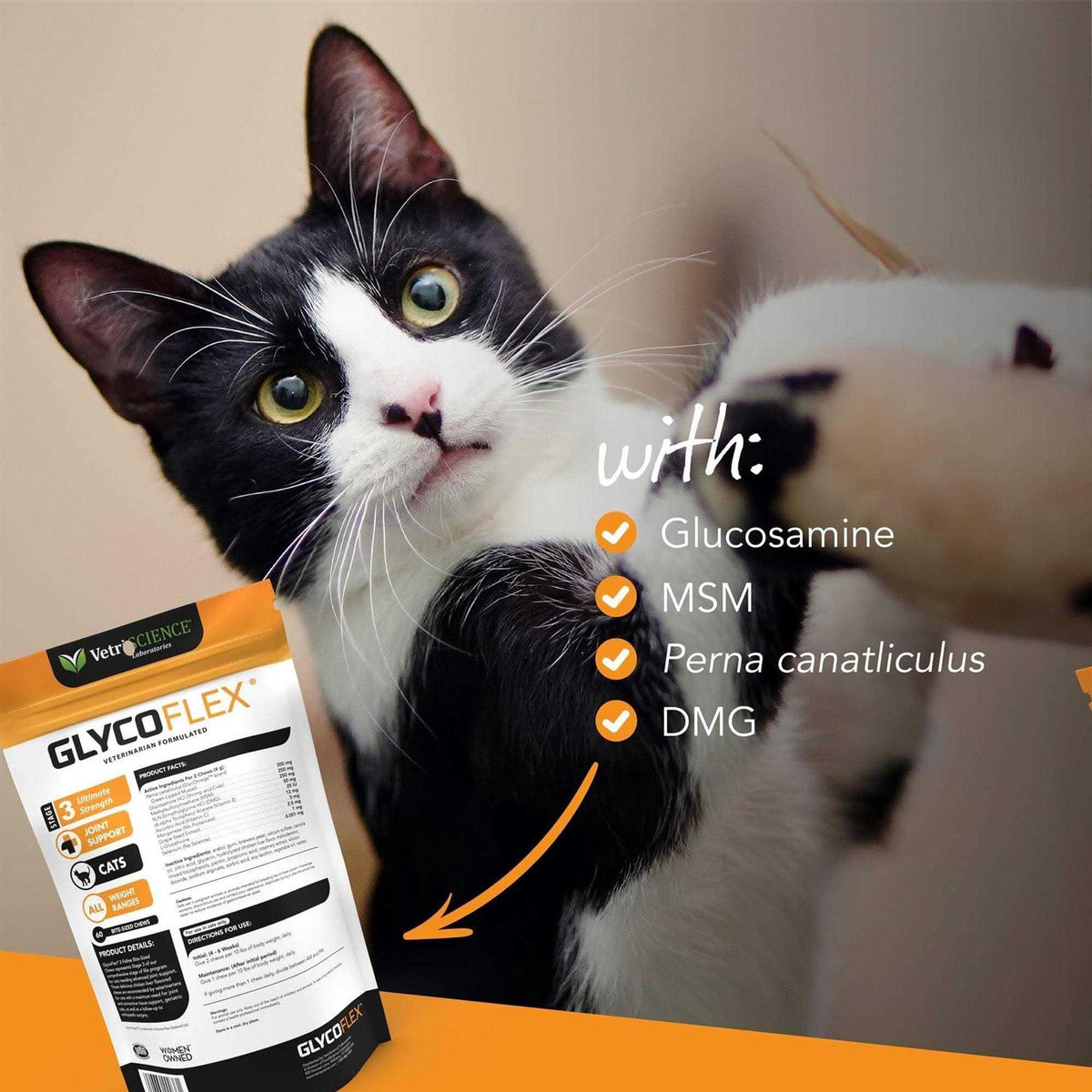Feline E8353