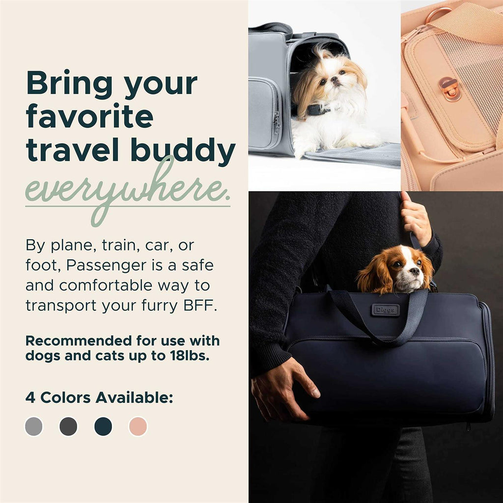 Travel Pet Carrier for Small Dogs and Cats V964