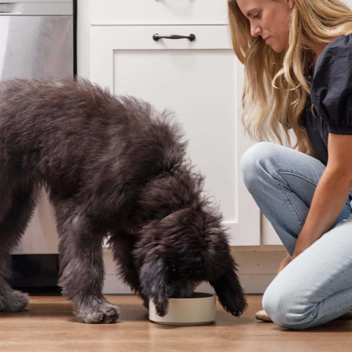 Brown Rice & Sweet Potato Dry Dog Food M415958